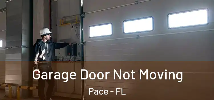  Garage Door Not Moving Pace - FL