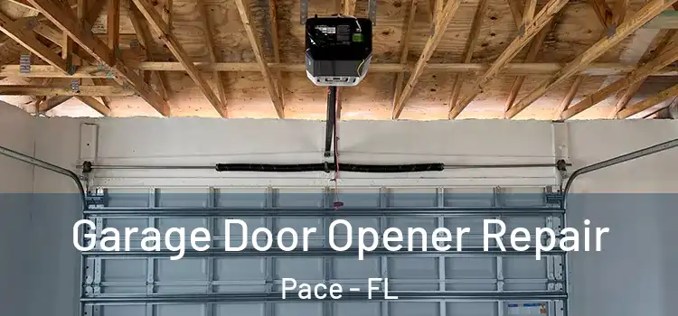  Garage Door Opener Repair Pace - FL
