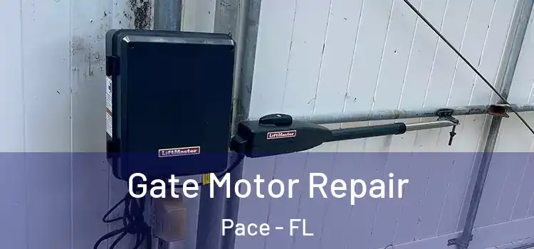  Gate Motor Repair Pace - FL