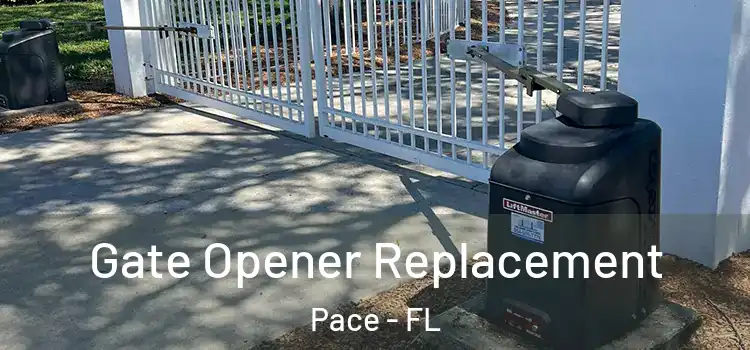  Gate Opener Replacement Pace - FL