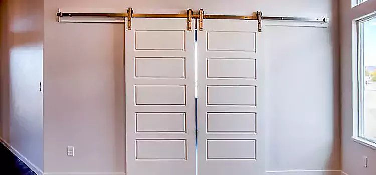 Glass Barn Door with Installation Hardware Kit Pace