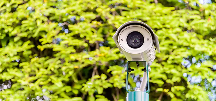 Advanced Surveillance Solutions for Every Need in Pace
