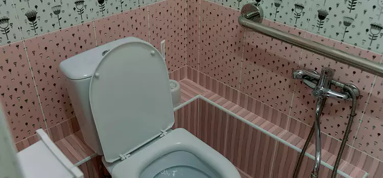 Meeting Diverse Needs With Accessible Restroom Solutions in Pace, FL