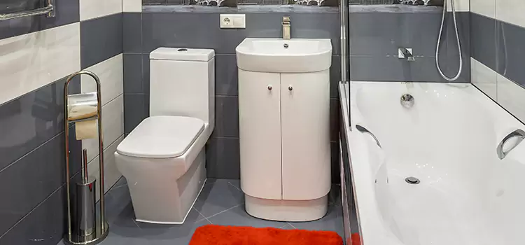 Hansgrohe Shaving Mirror Pace