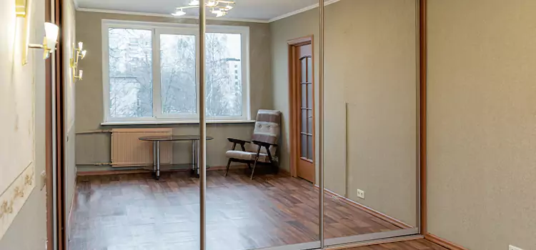 Mirror Closet Door Roller Replacement Pace